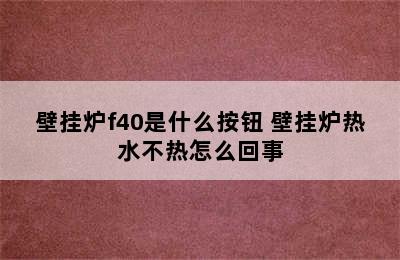 壁挂炉f40是什么按钮 壁挂炉热水不热怎么回事